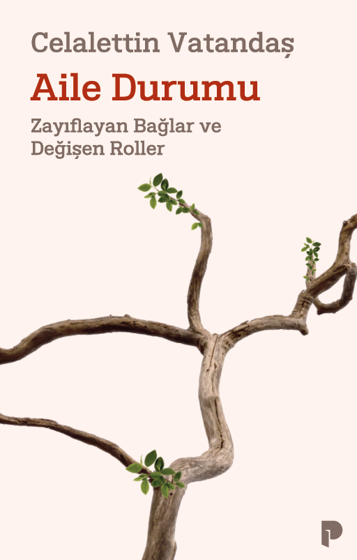 Aile Durumu;Zayıflayan Bağlar ve Değişen Roller