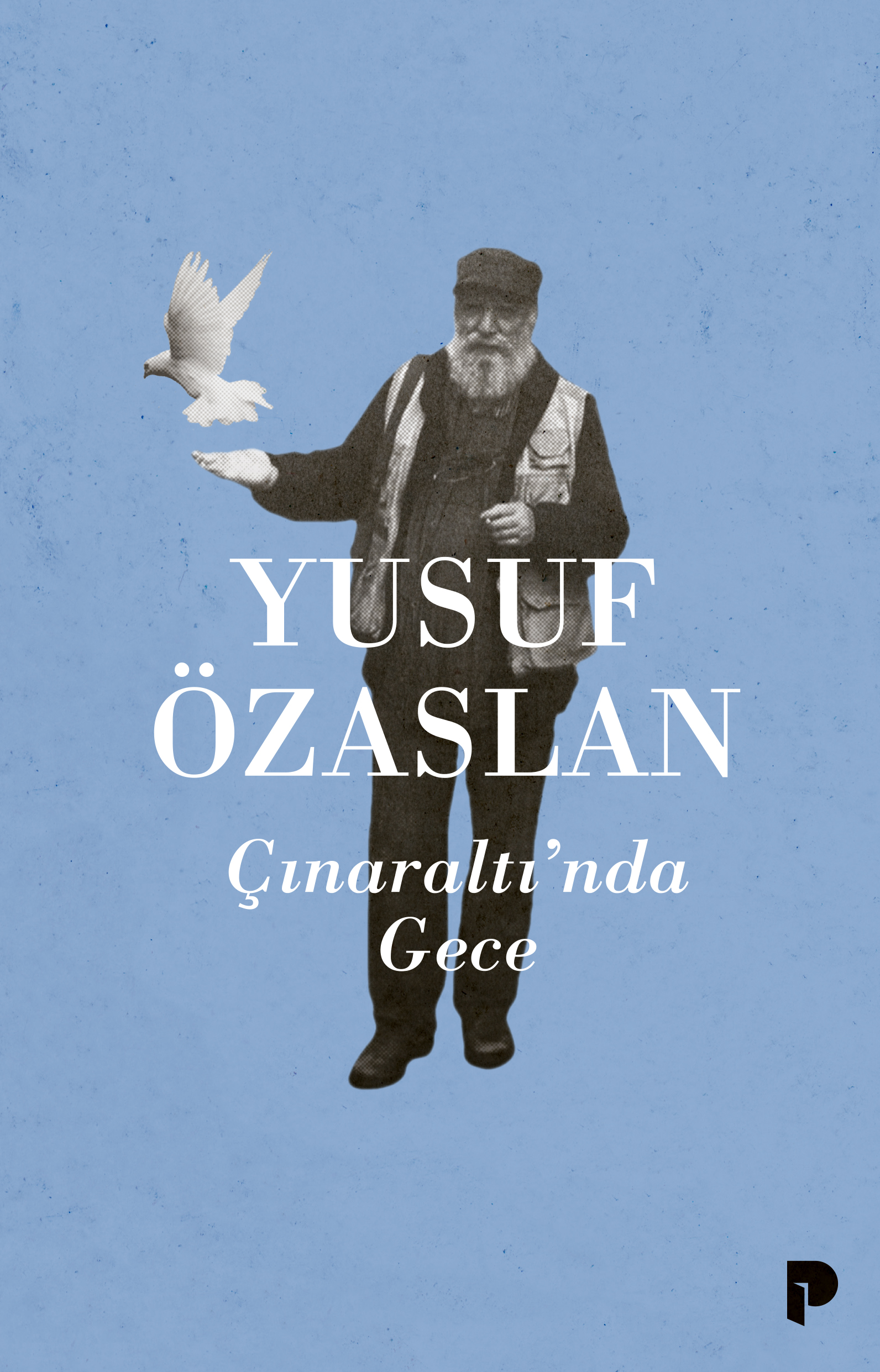 Çınaraltı’nda Gece